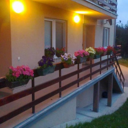 Apartments Varga Divčibare Εξωτερικό φωτογραφία